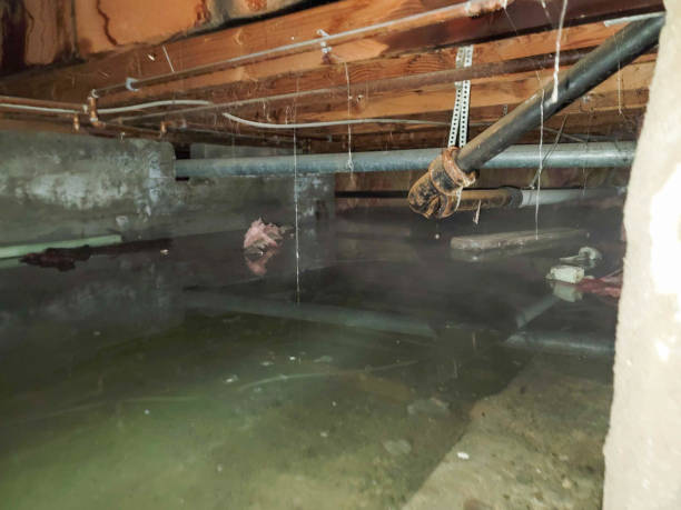 Best Flood damage cleanup  in Orange, OH