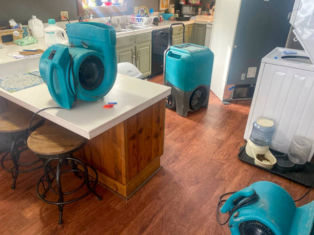 Best Emergency water damage restoration  in Orange, OH
