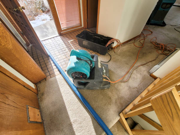 Best Water damage restoration company  in Orange, OH