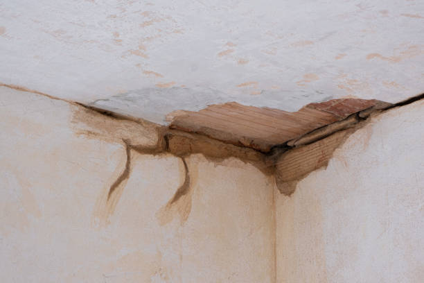 Best Ceiling water damage repair  in Orange, OH