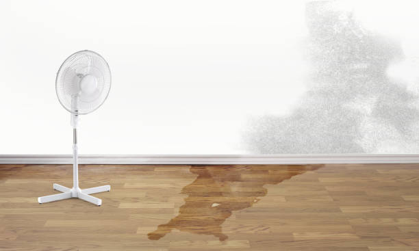 Best Water damage restoration near me  in Orange, OH