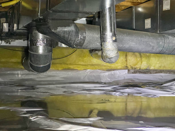 Best Water damage cleanup near me  in Orange, OH