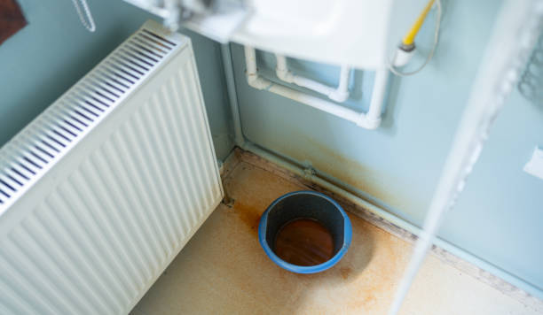 Best Carpet water damage restoration  in Orange, OH