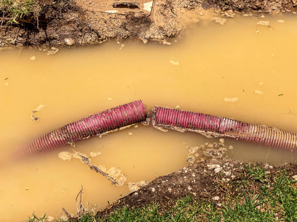 Best Water damage restoration near me  in Orange, OH